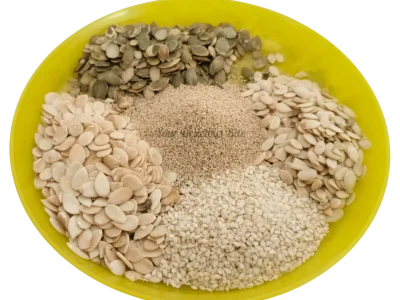 dry fruit barfi seeds